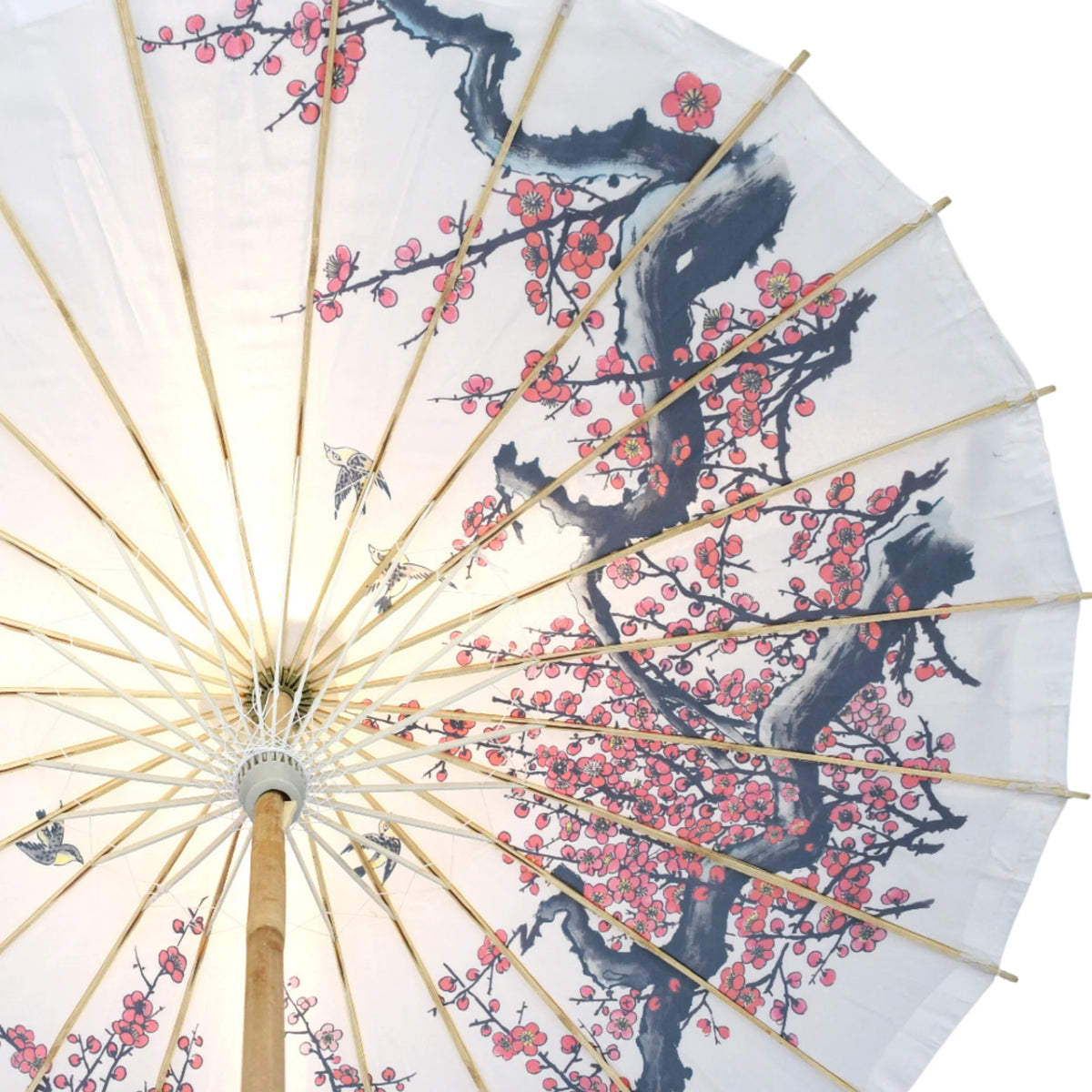 32 Inch Cherry Blossom Birds Premium Nylon Parasol Umbrella with Elegant Handle - Luna Bazaar | Boho &amp; Vintage Style Decor