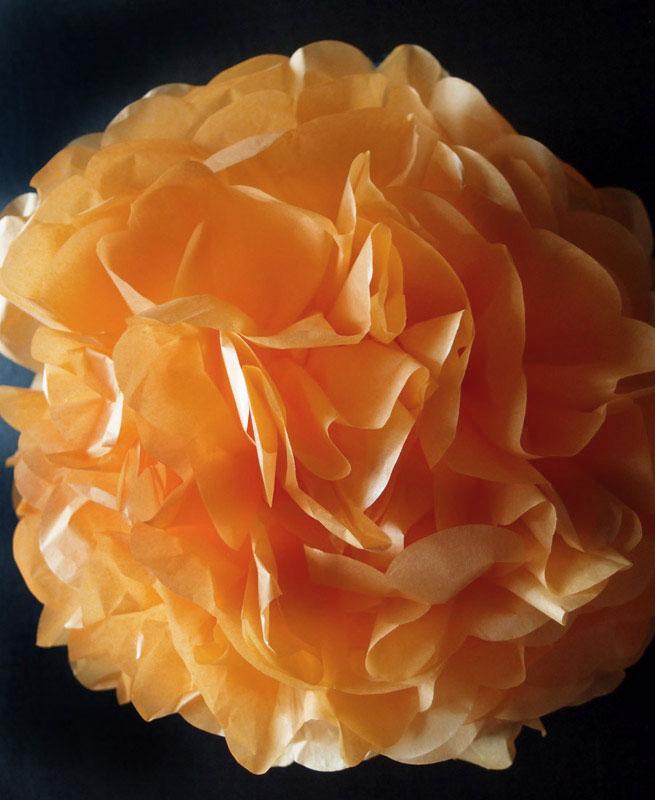 CLOSEOUT EZ-Fluff 20&quot; Peach / Orange Coral Tissue Paper Pom Poms Flowers Balls, Hanging Decorations (4 PACK) - Luna Bazaar | Boho &amp; Vintage Style Decor