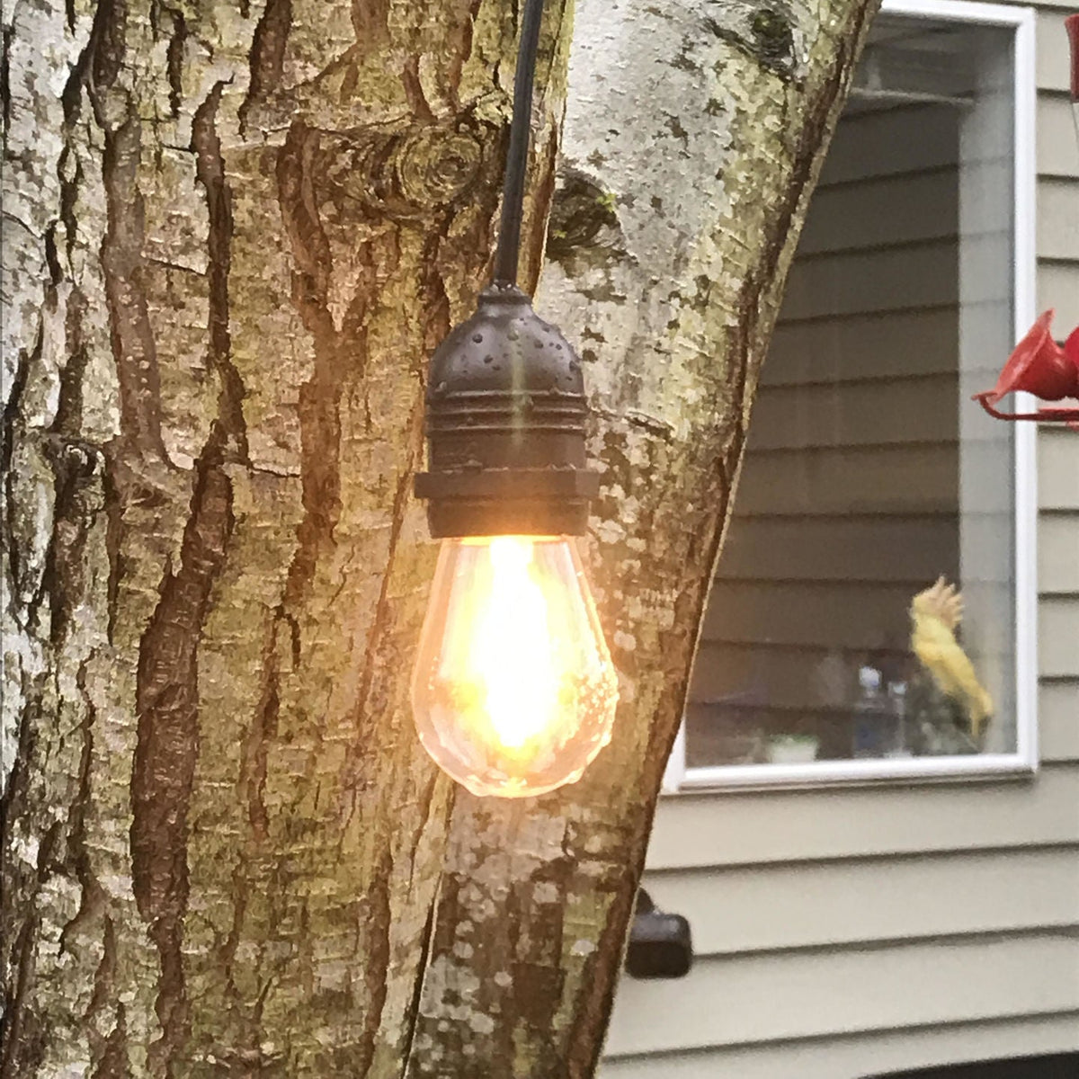 CORD + Shatterproof Bulb | Black Weatherproof Outdoor Pendant Light Lamp Cord Combo Kit, S14 Warm White Bulb - Luna Bazaar | Boho &amp; Vintage Style Decor
