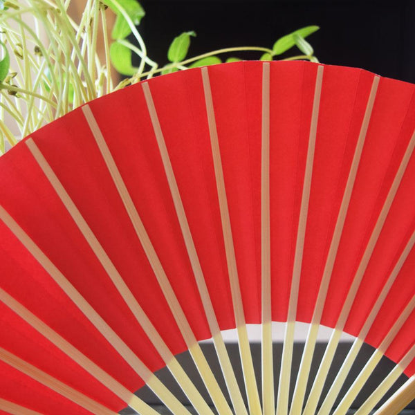 9 Inch Red Paper Hand Fans for Weddings, Premium Paper Stock (10 Pack ...